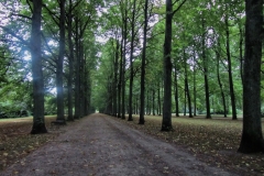 Französischer Garten