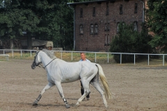 Niedersächsisches Landgestüt Celle